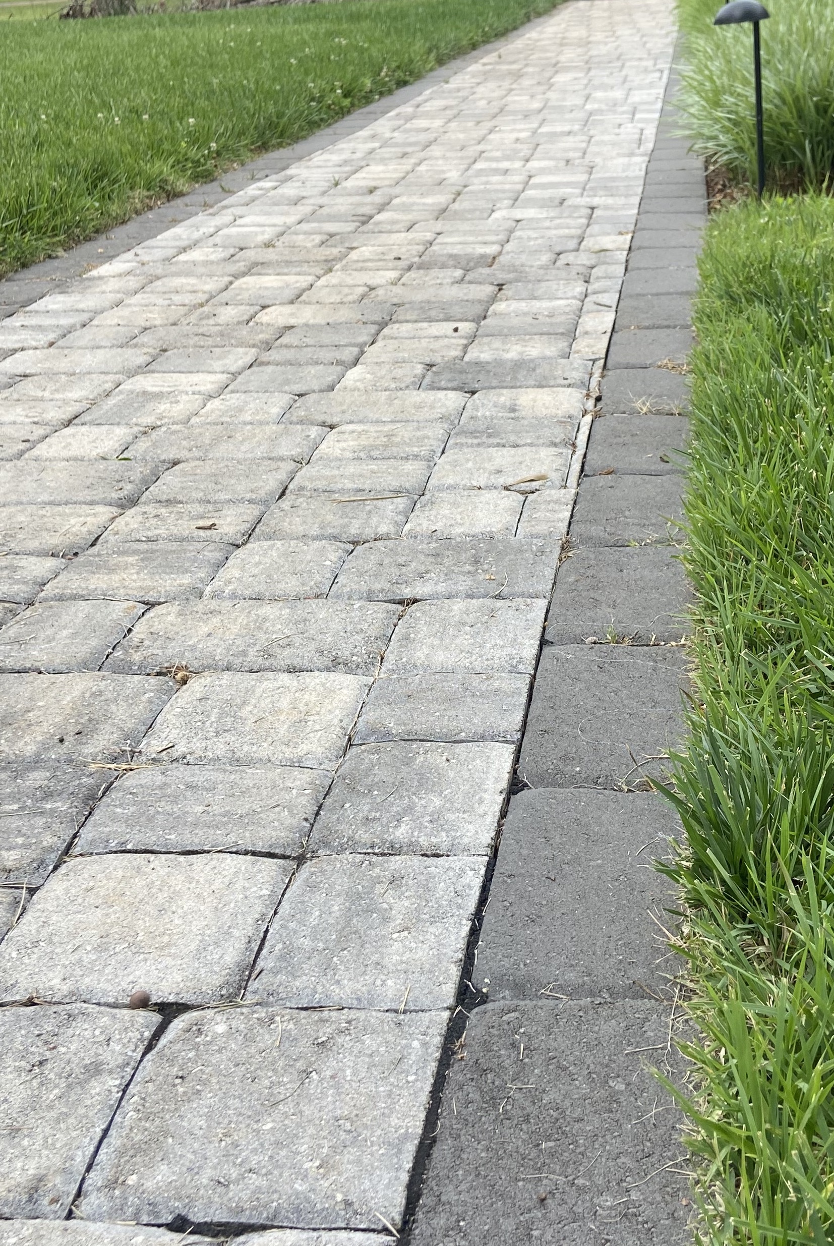 Modern Pathway - Image 1