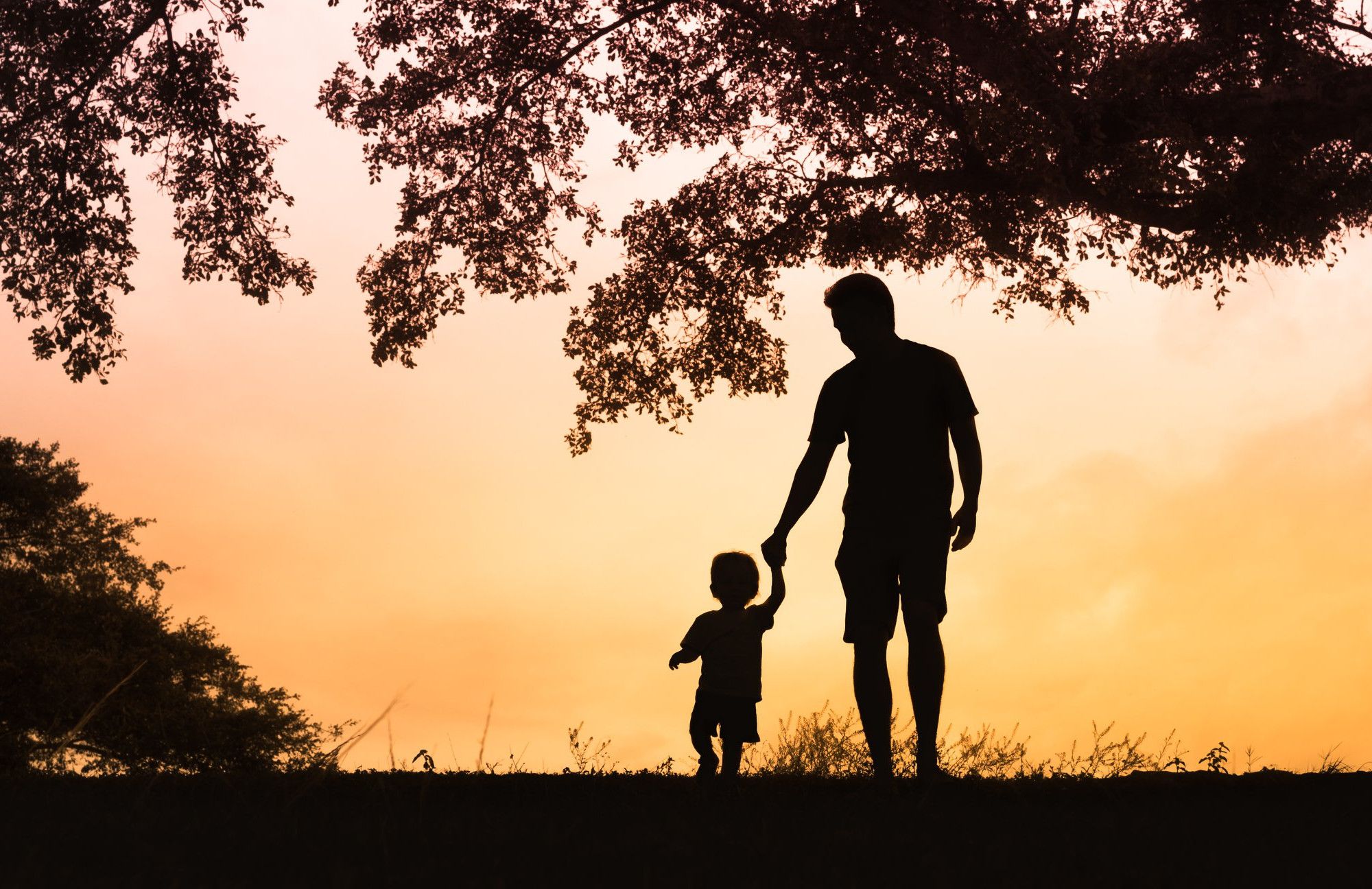Numérologie et parentalité : mieux comprendre son enfant grâce aux chiffres