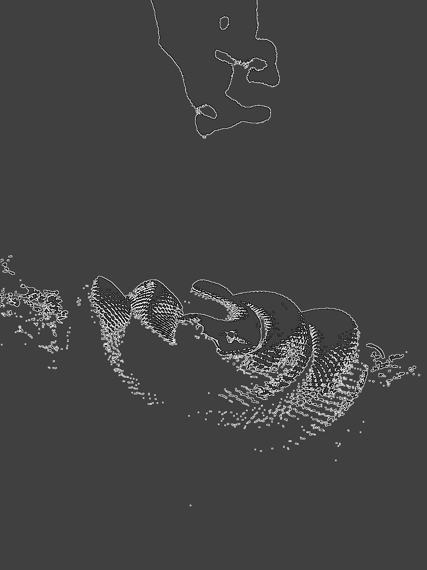Sleepy Snake - Coloring Page - Free Coloring Page