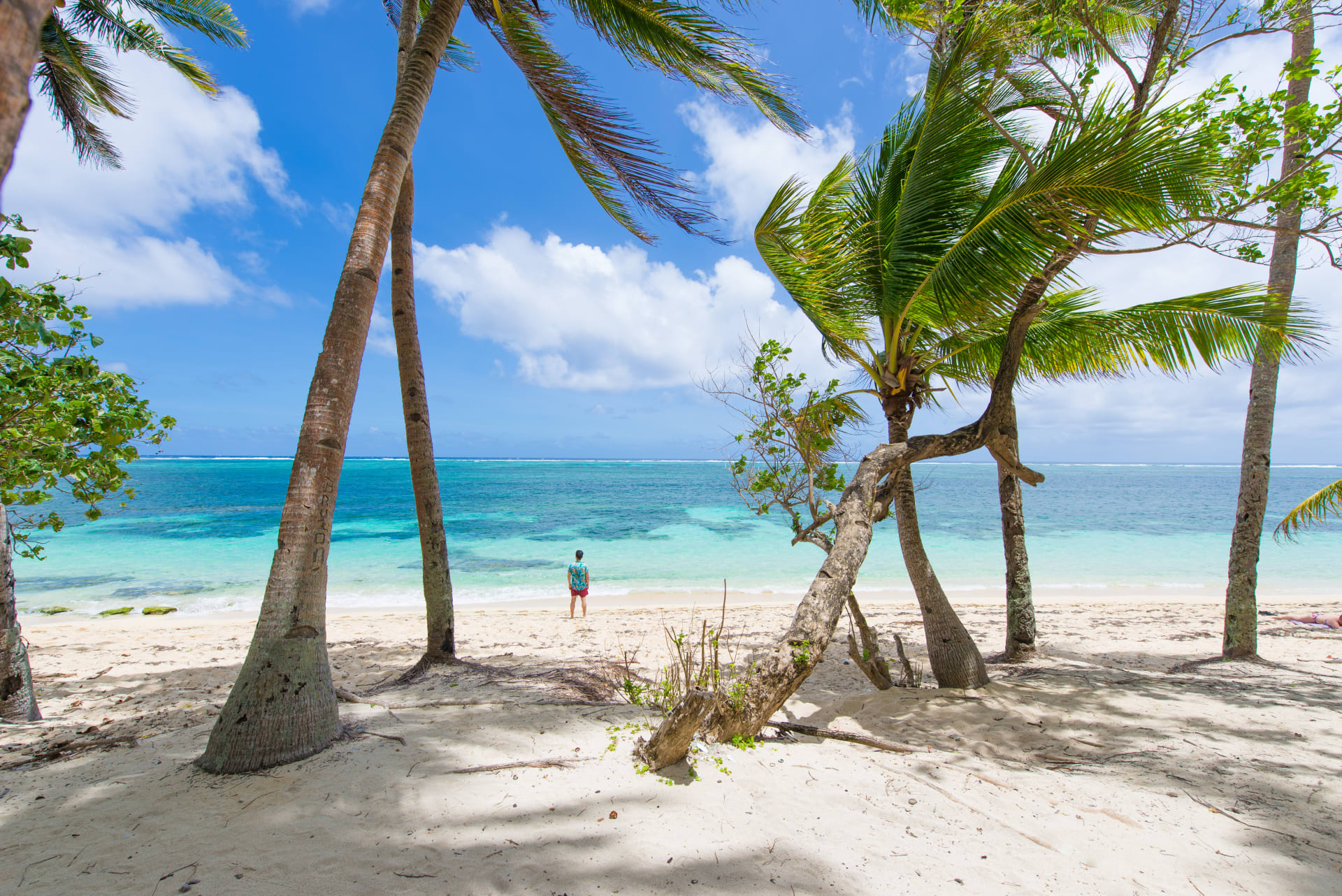 Vista panorámica de Isla Saona con aguas turquesas del Caribe y playas de arena blanca, destino turístico de República Dominicana