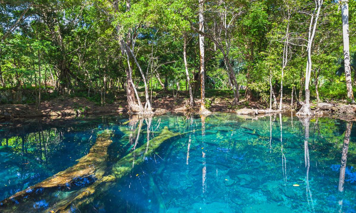 Cenotes dominicanos