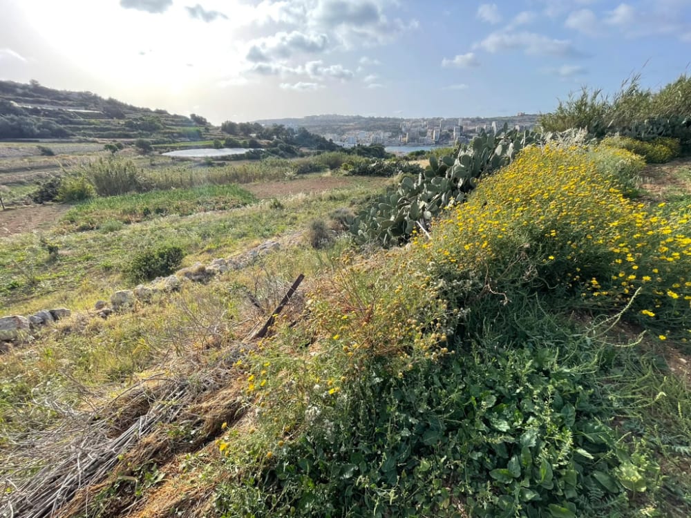St Pauls Bay Plot (Residential) — St Pauls Bay, Malta