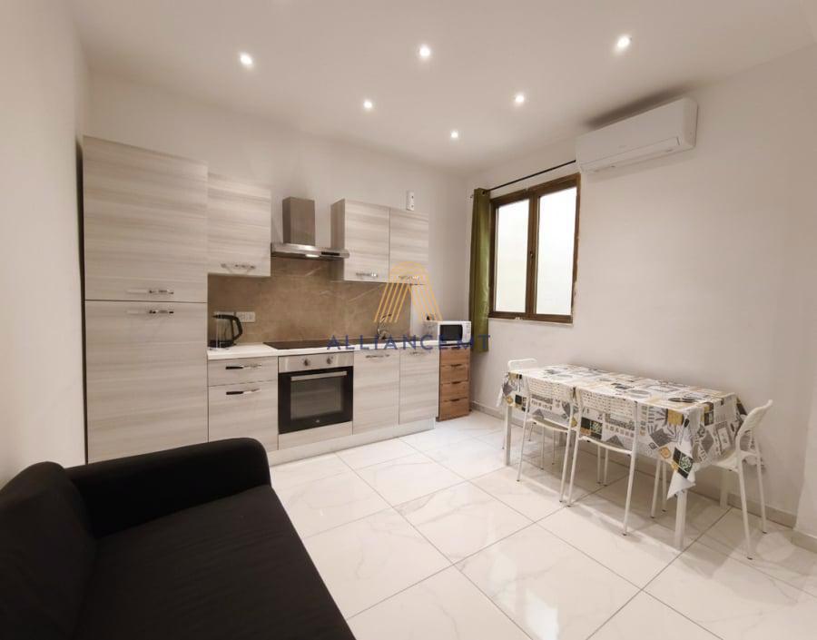 1 Bedroom Apartment for Rent in Msida — Msida, Malta — photo 4