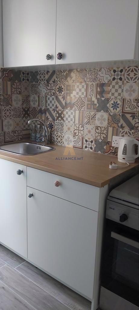1 Bedroom Apartment (Studio) for Rent in Sliema — Sliema, Malta — photo 4