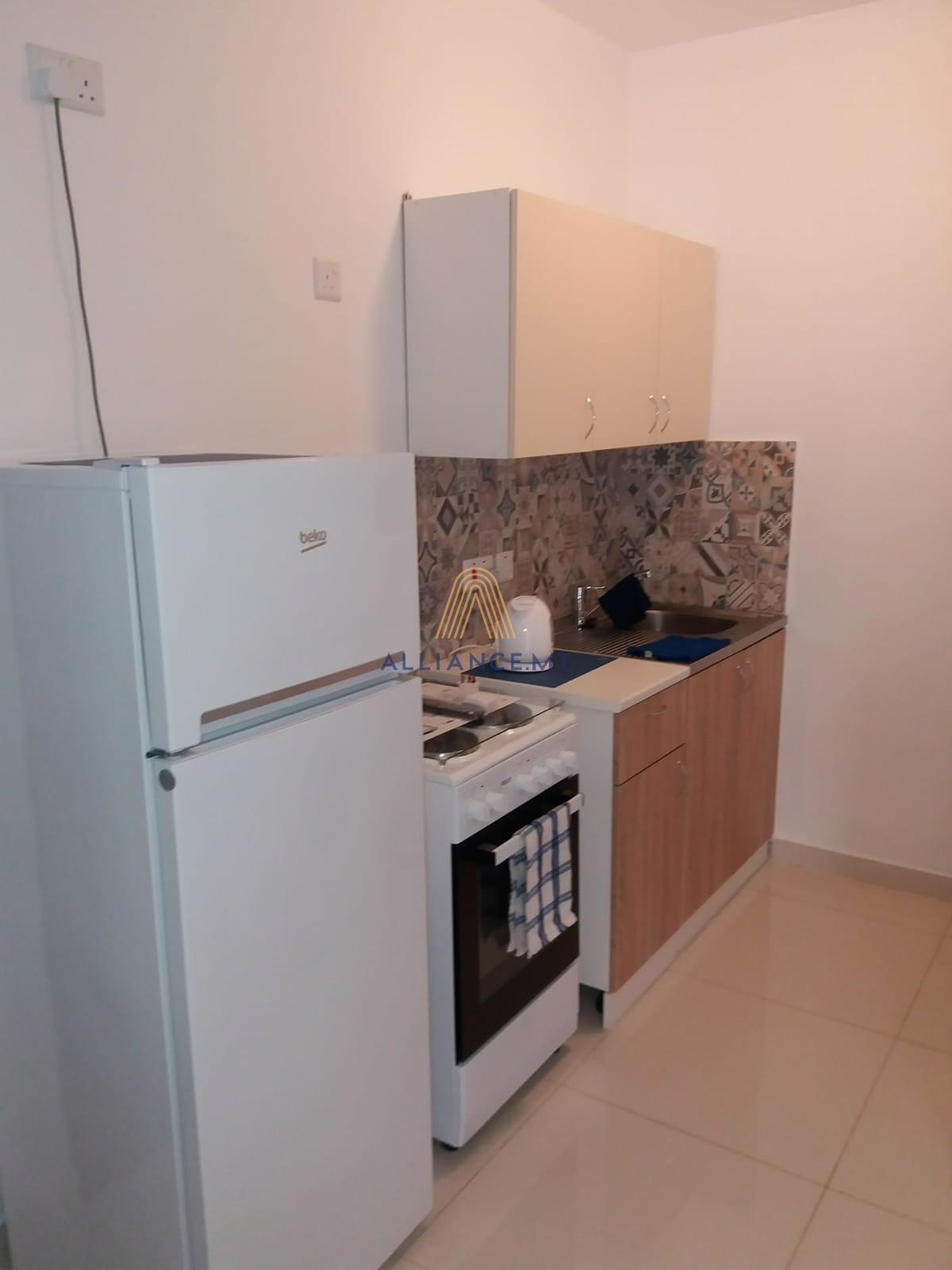 1 Bedroom Apartment (Duplex) for Rent in Msida — Msida, Malta — photo 4