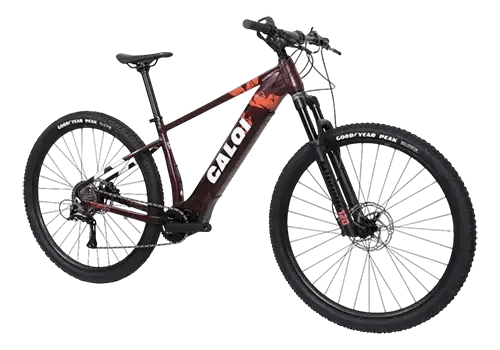 E-vibe Explorer