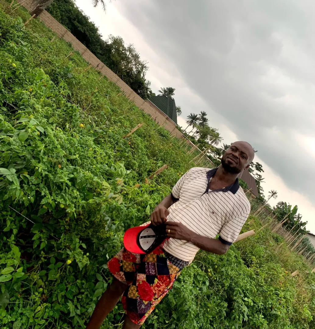 Sinoth Farms produce up close