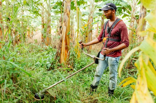 String Trimmer (Weed Eater)