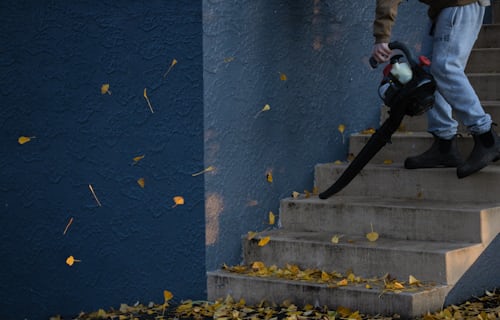 Leaf Blower