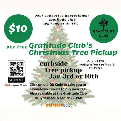 Christmas Tree Pickup 2025