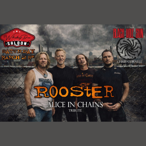 Rooster & Black Hole Sun