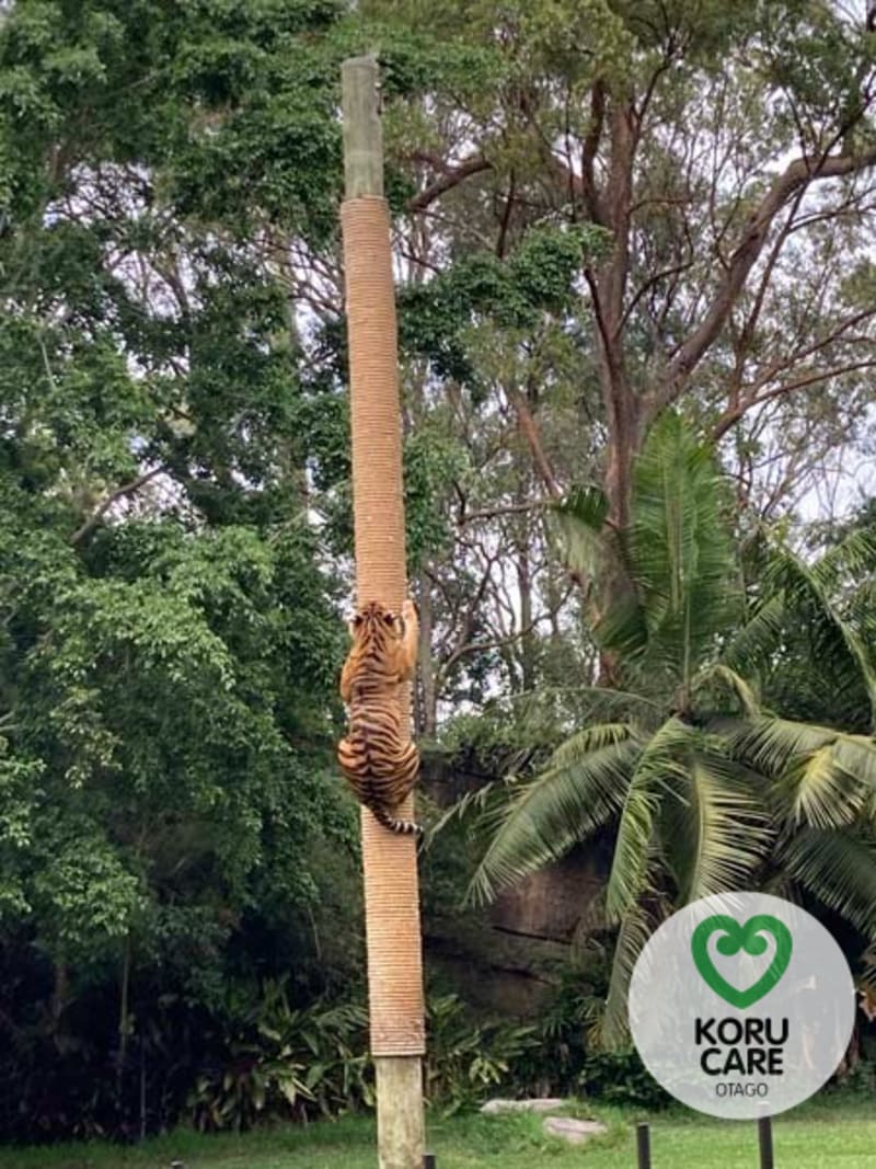 Koru Care Gallery Image