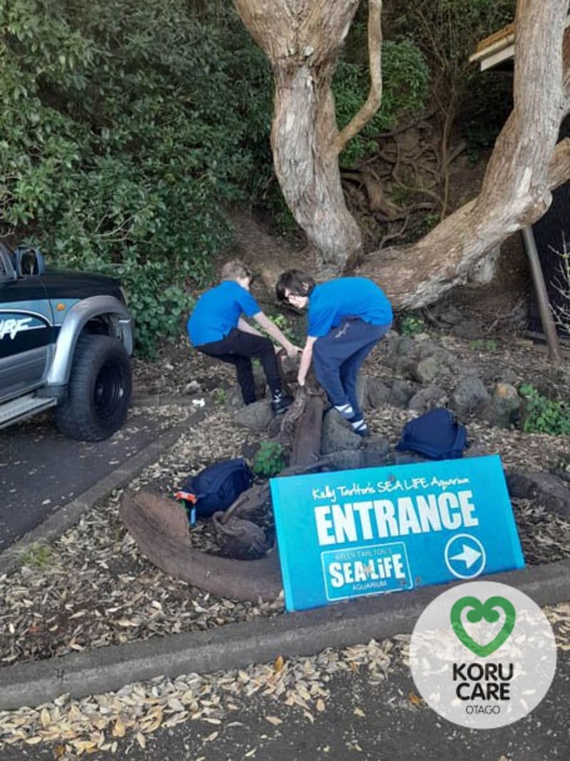 Koru Care Gallery Image