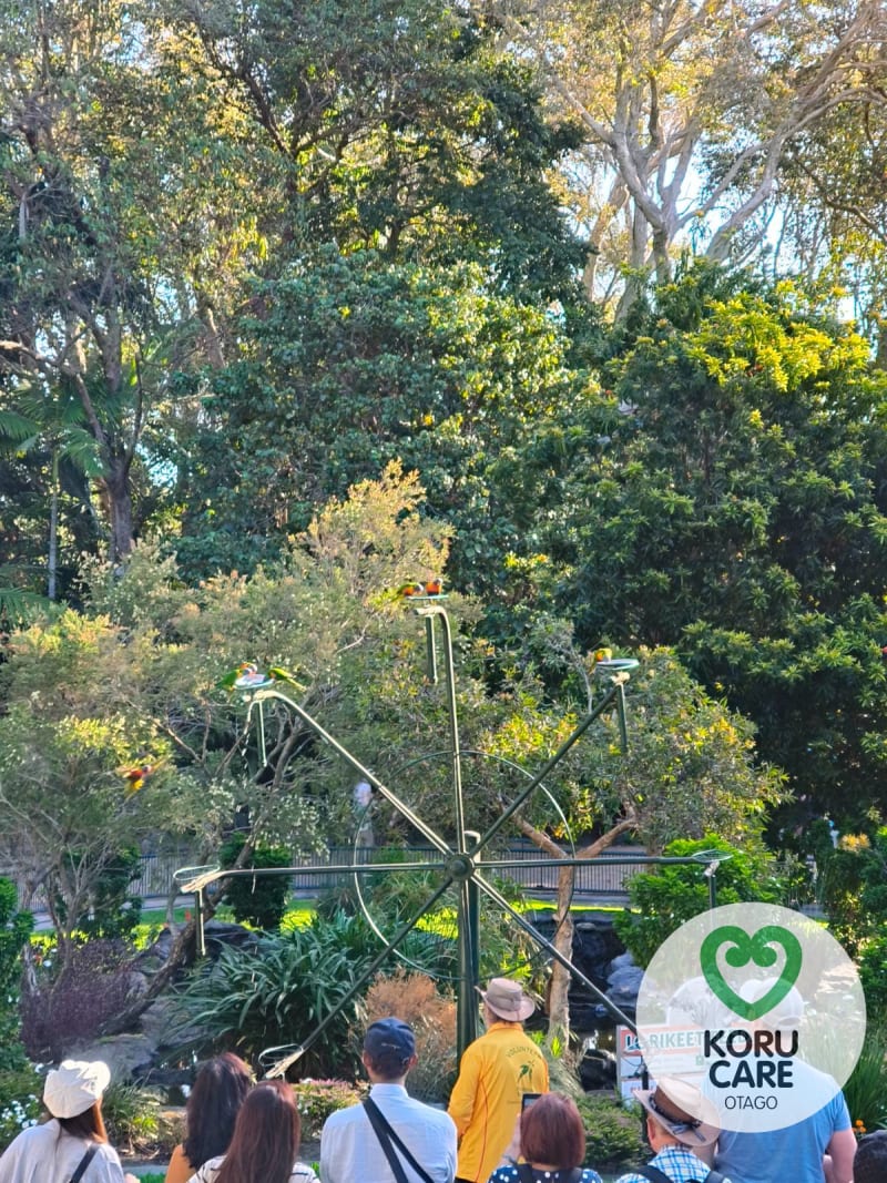 Koru Care Gallery Image