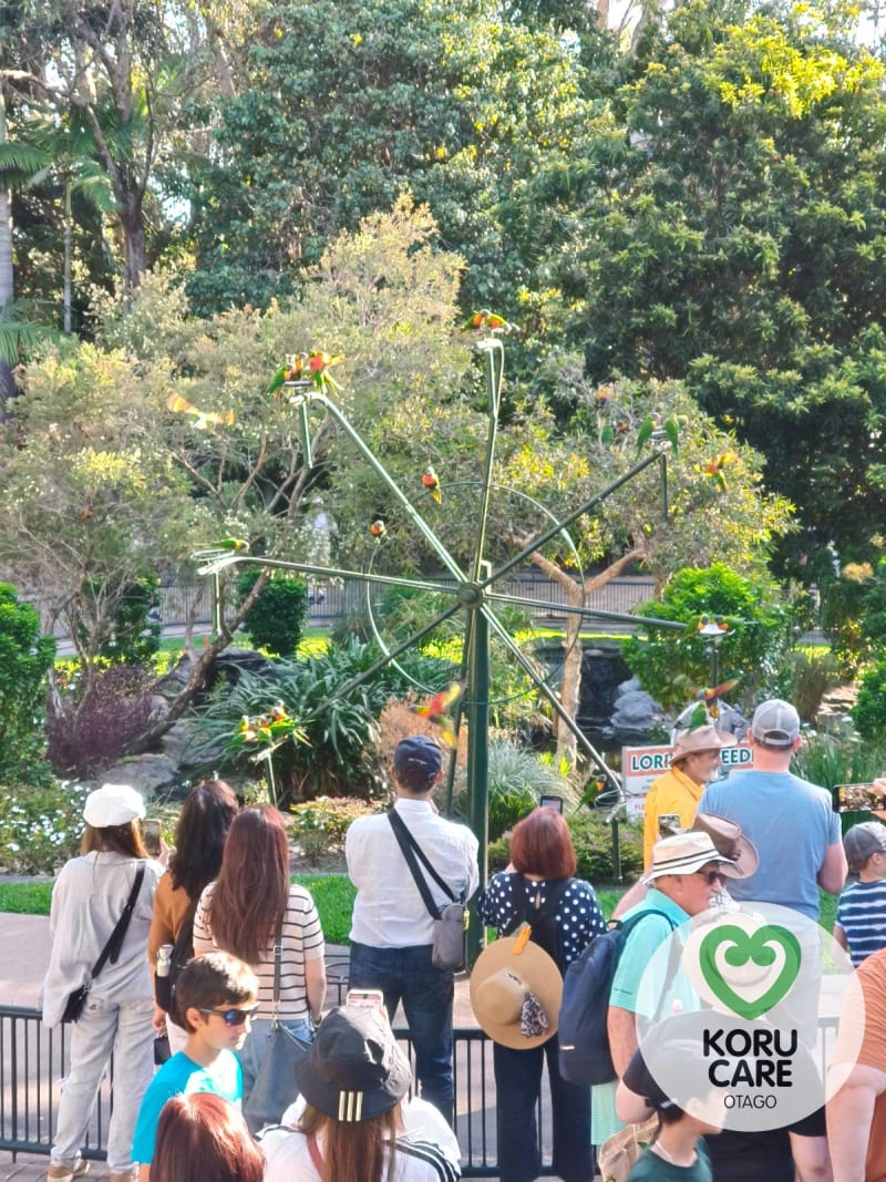 Koru Care Gallery Image