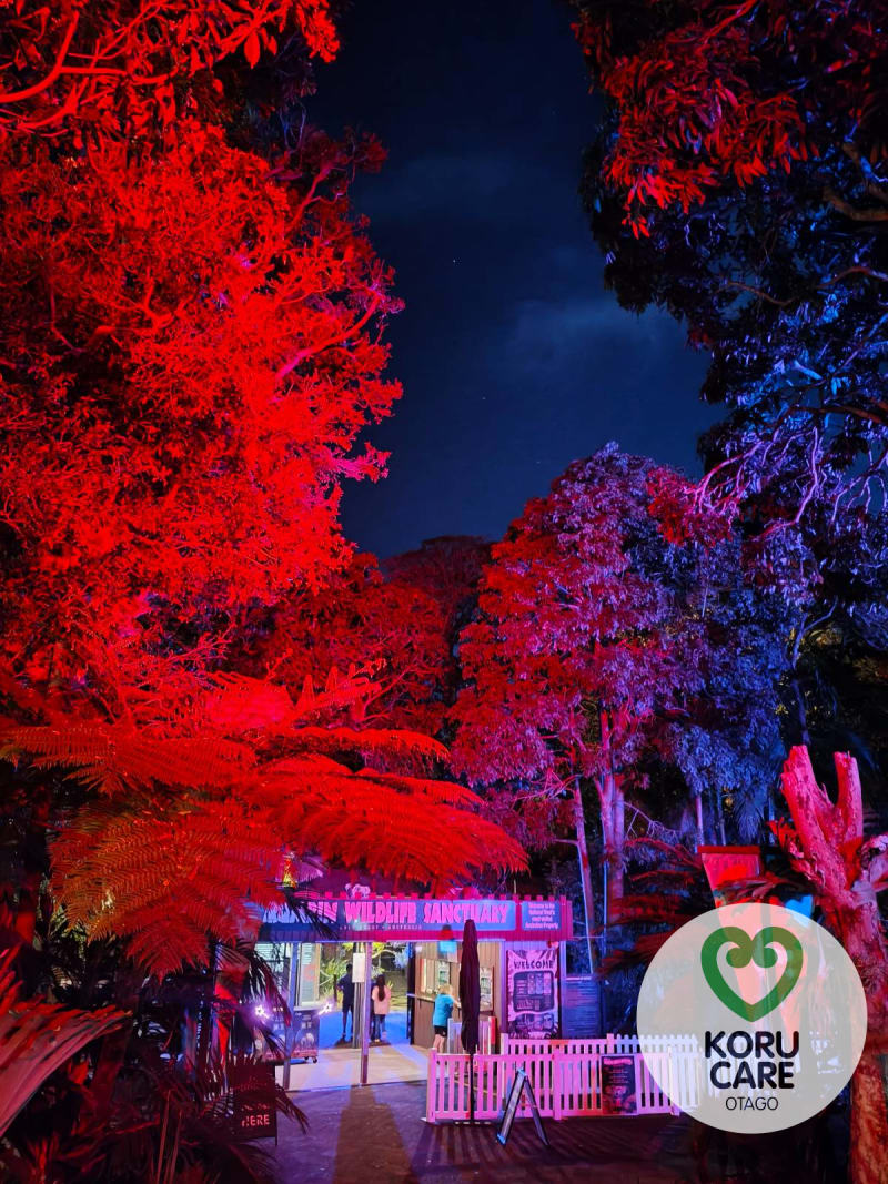 Koru Care Gallery Image