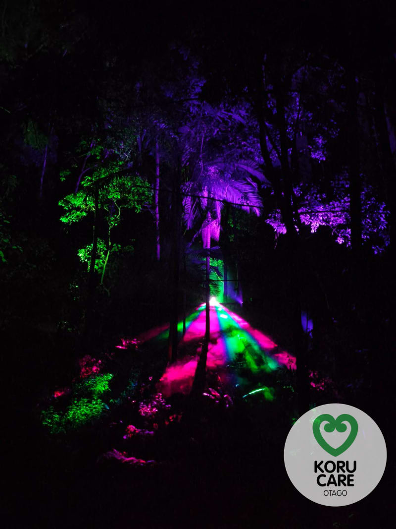 Koru Care Gallery Image
