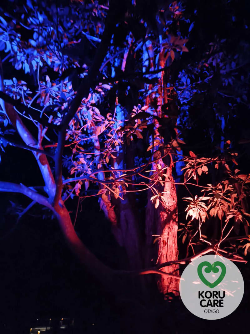 Koru Care Gallery Image