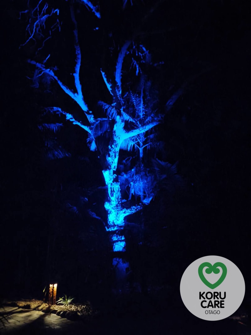 Koru Care Gallery Image