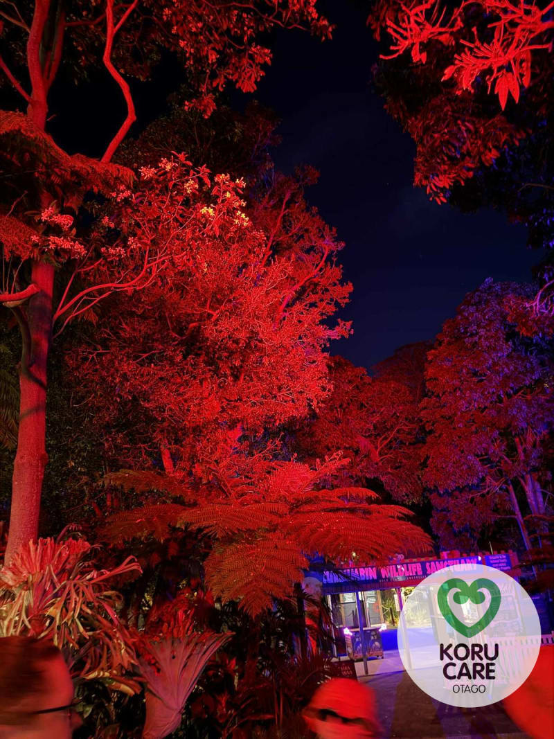 Koru Care Gallery Image