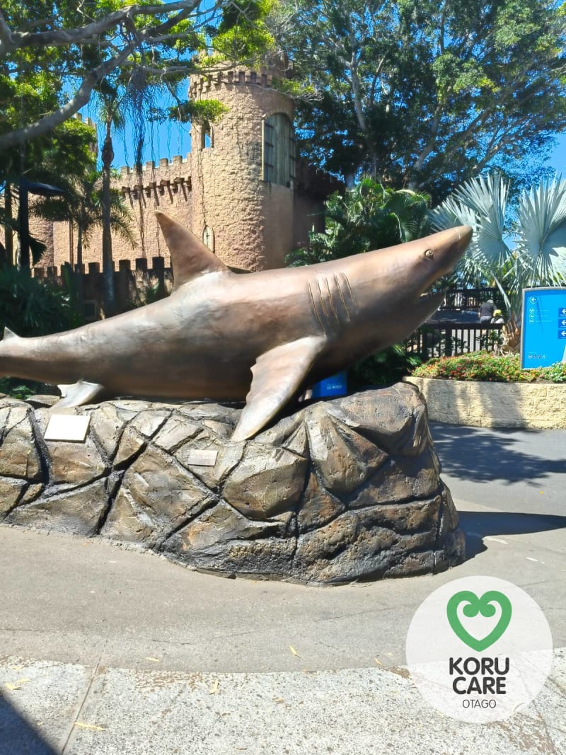 Koru Care Gallery Image