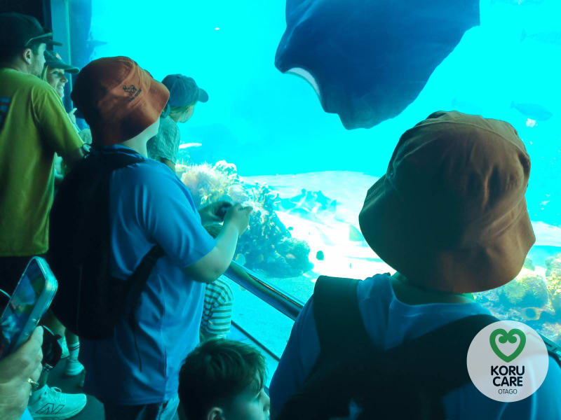 Koru Care Gallery Image