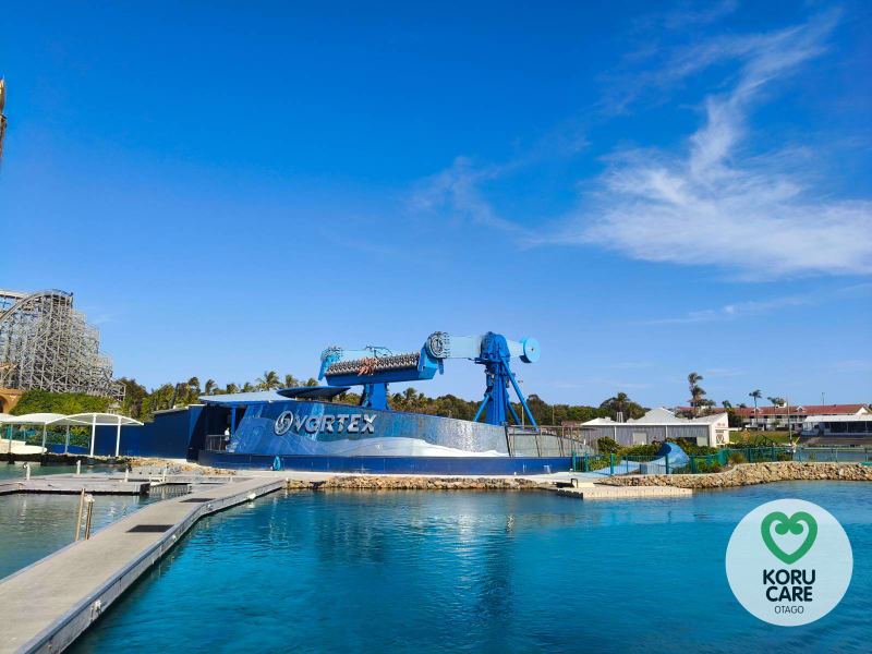 Koru Care Gallery Image