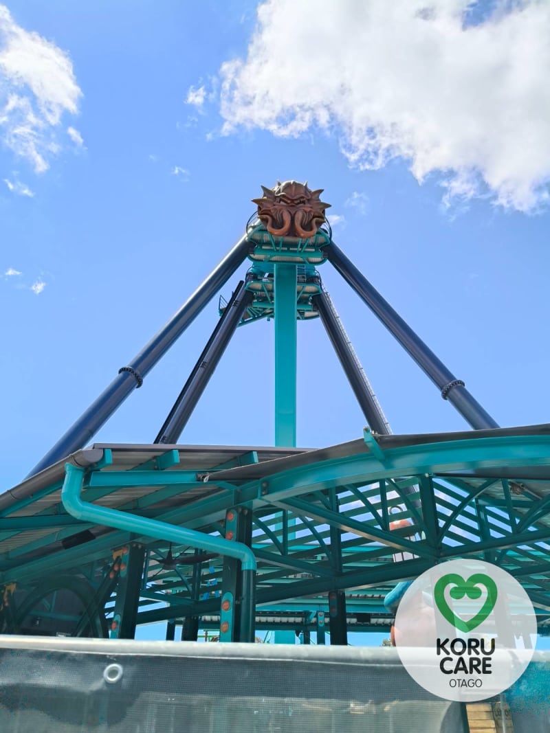 Koru Care Gallery Image