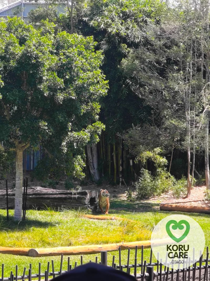 Koru Care Gallery Image
