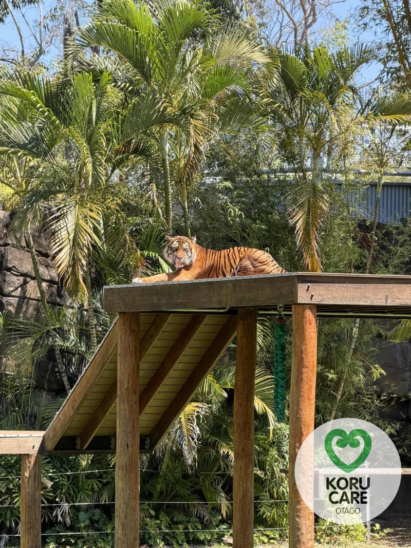 Koru Care Gallery Image