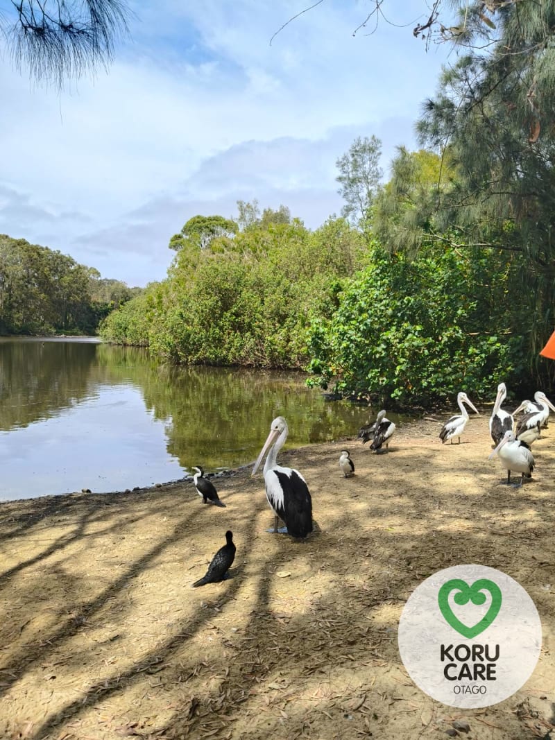 Koru Care Gallery Image