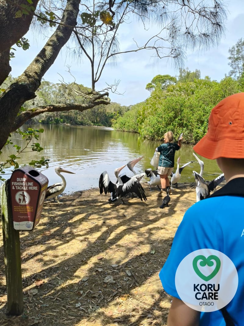 Koru Care Gallery Image