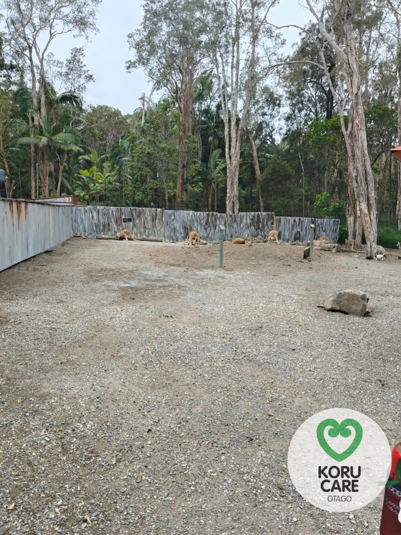 Koru Care Gallery Image