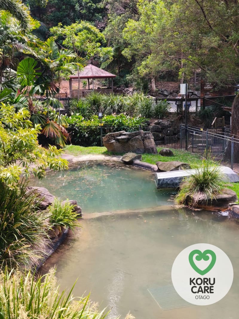 Koru Care Gallery Image