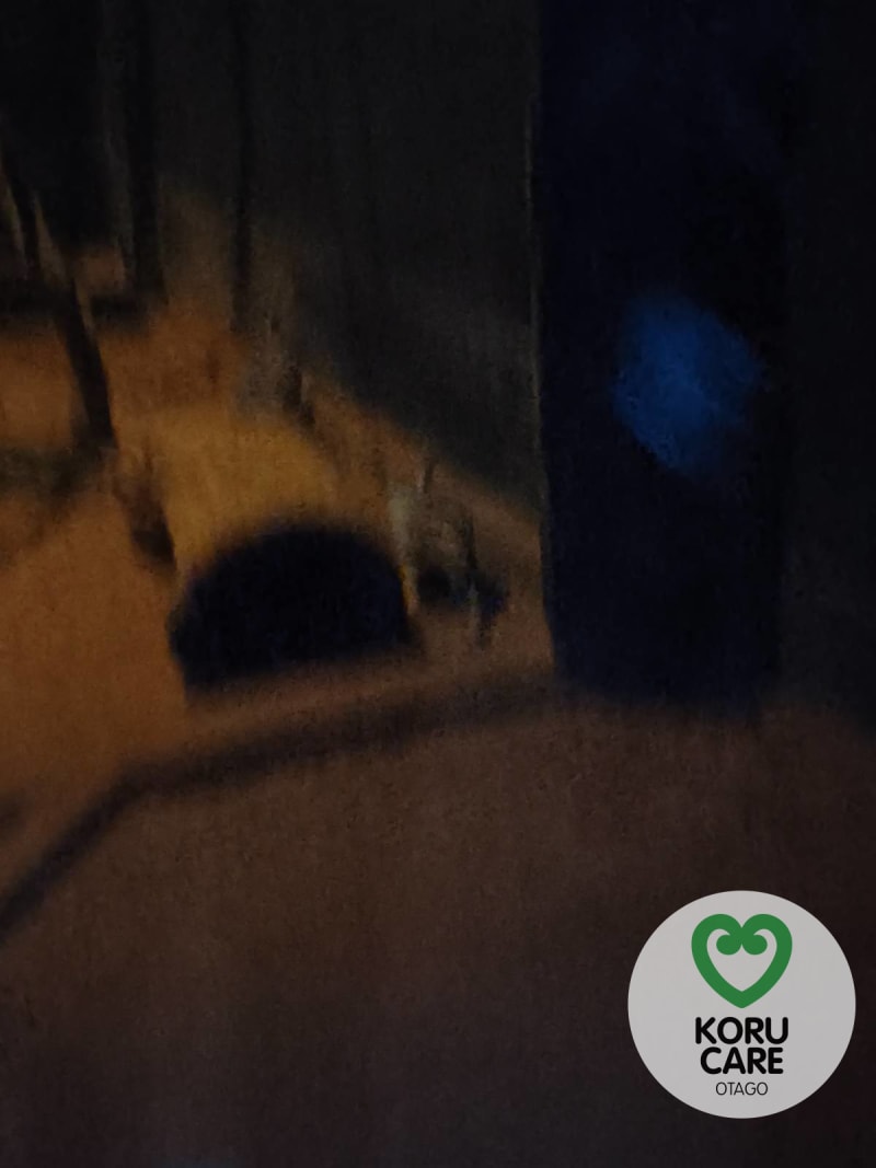Koru Care Gallery Image