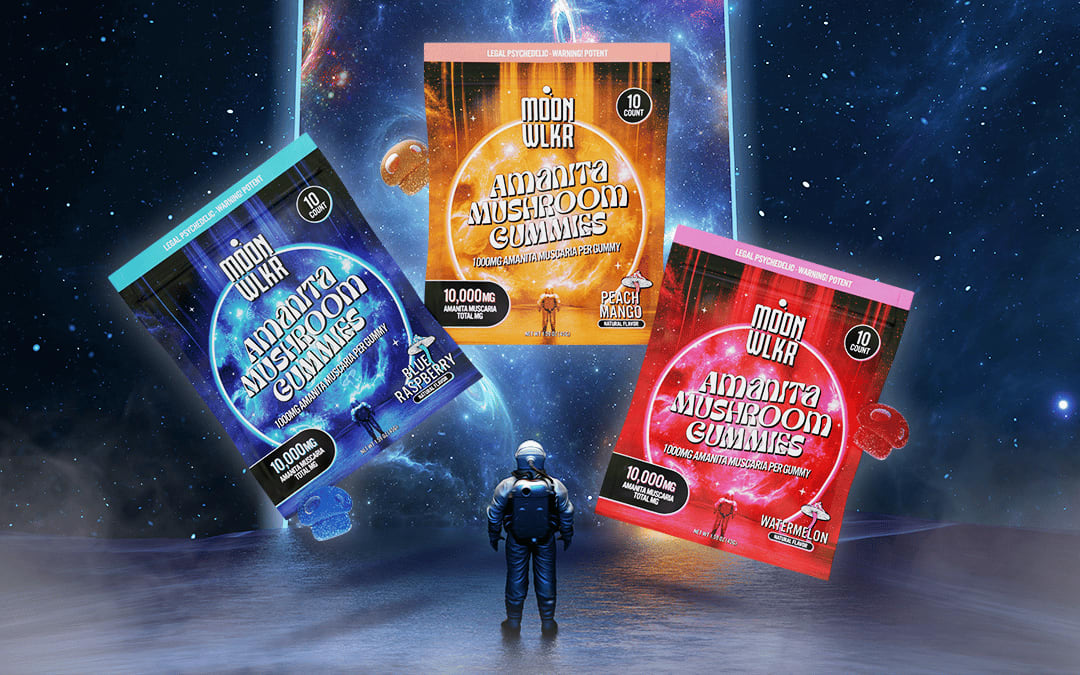 Are Amanita Mushroom Gummies Safe? What to Know Before You Buy