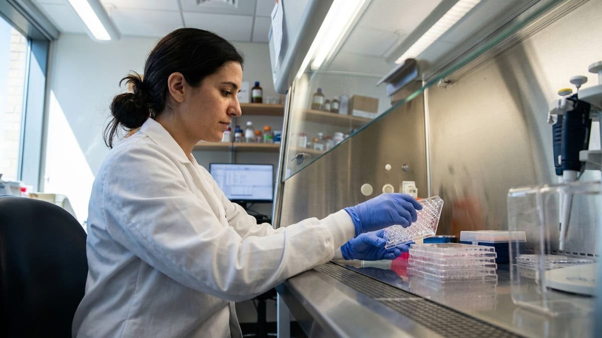 Melbourne biotech signs US cancer deal for its engineered immune cells
