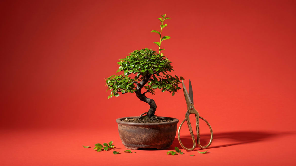 Photo-illustration of a bonsai tree with a fresh shoot beside brass scissors and clipped leaves on a tomato-red backdrop