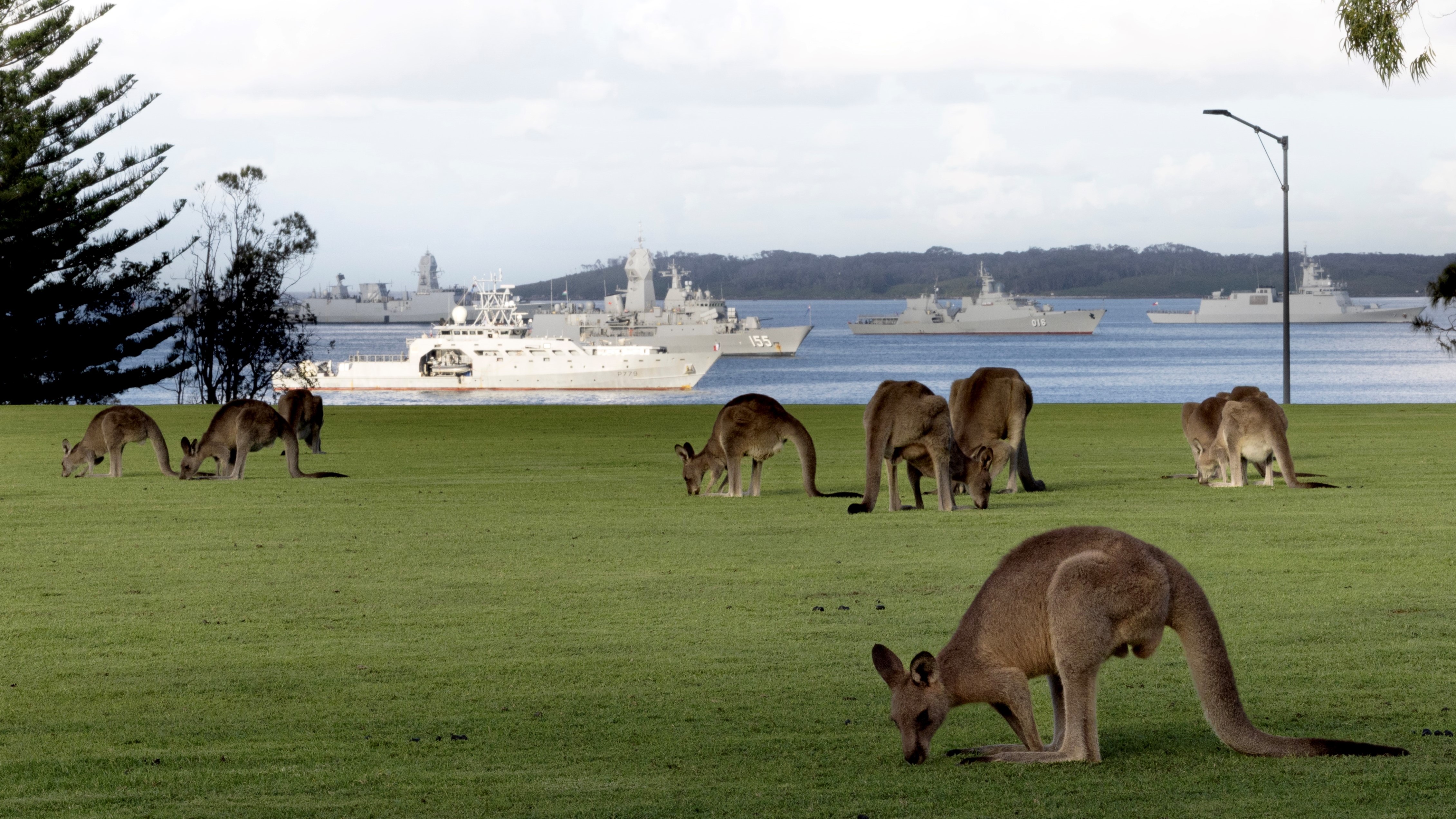 31 Warships From 19 Nations Arrive in Sydney Harbour for Historic Fleet Review
