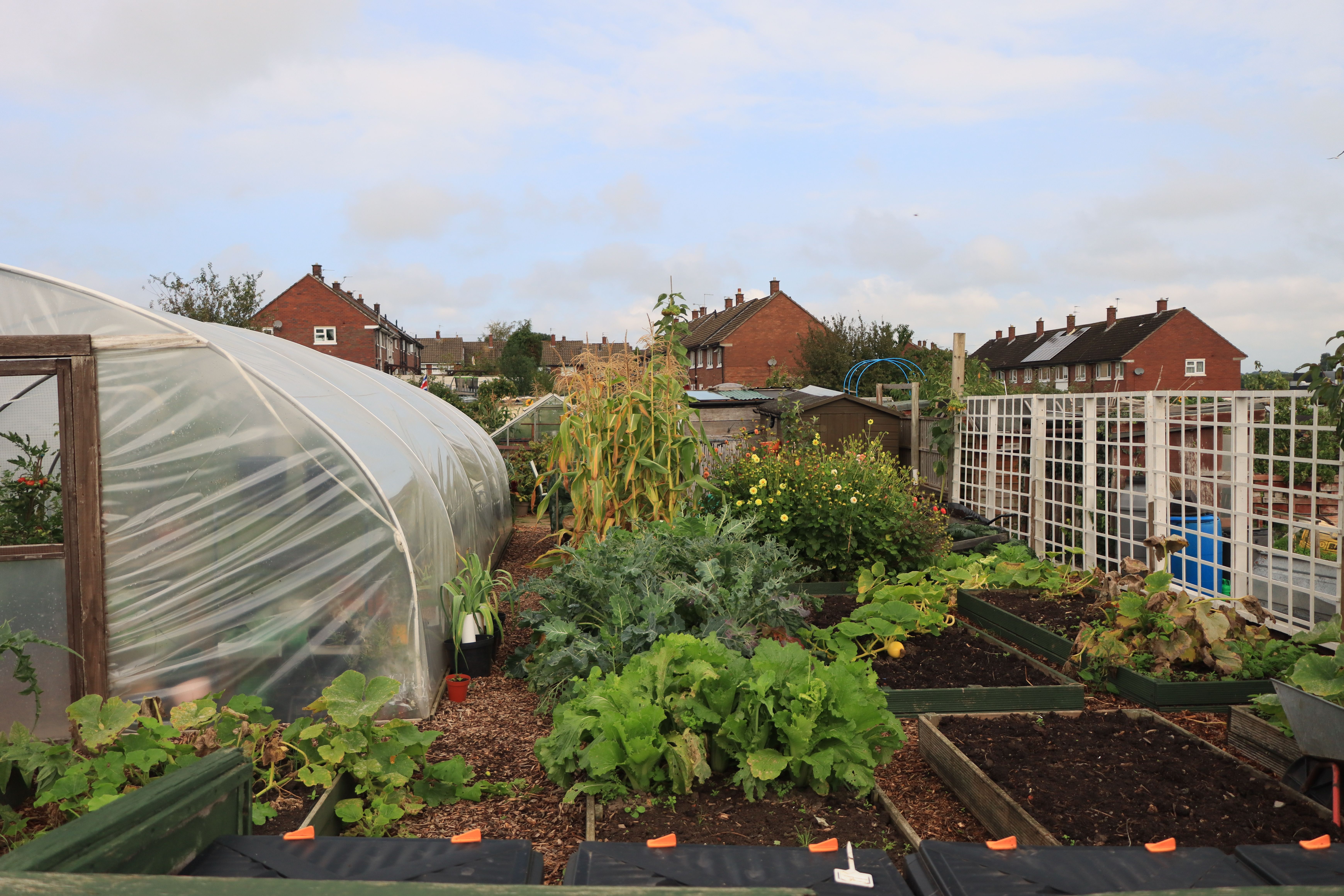 Création & entretien de potagers
