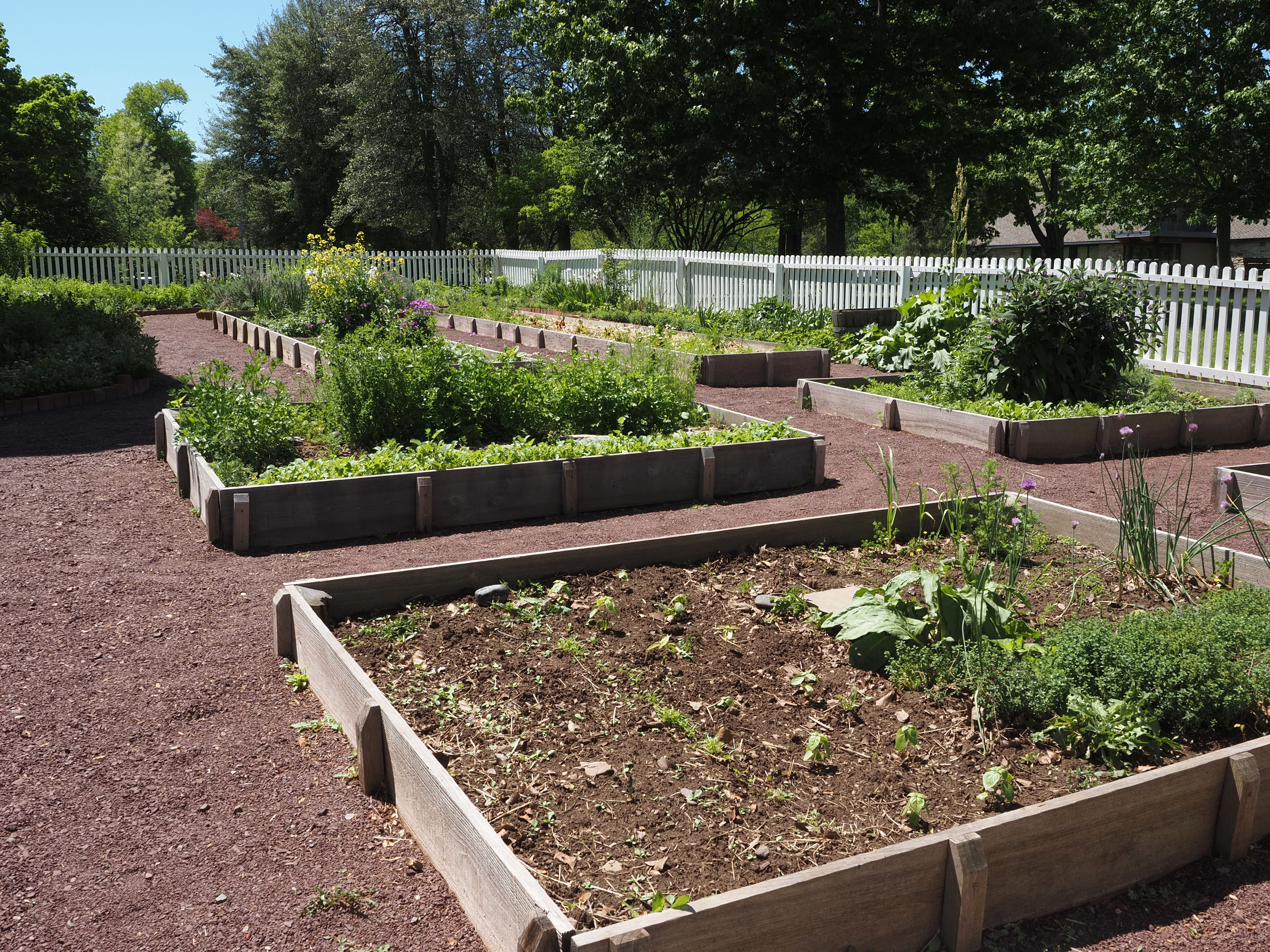 Plantations horticoles & maraîchères