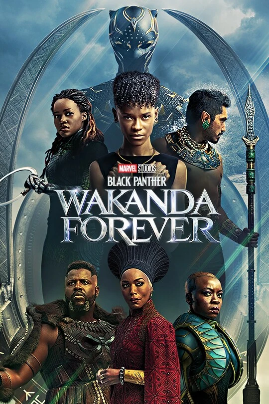 Image for Black Panther: Wakanda Forever (2022)