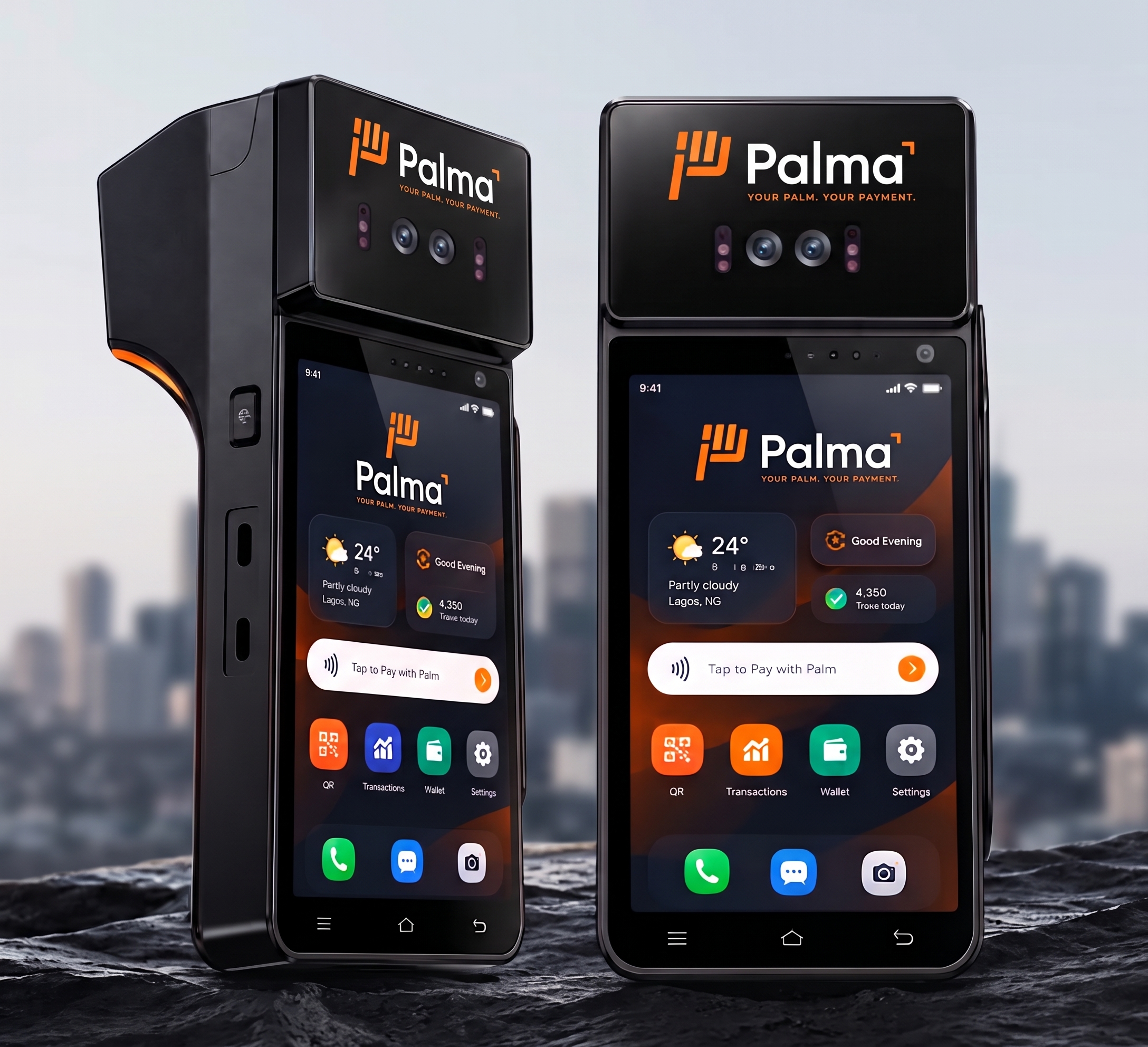PALMA screenshot 2