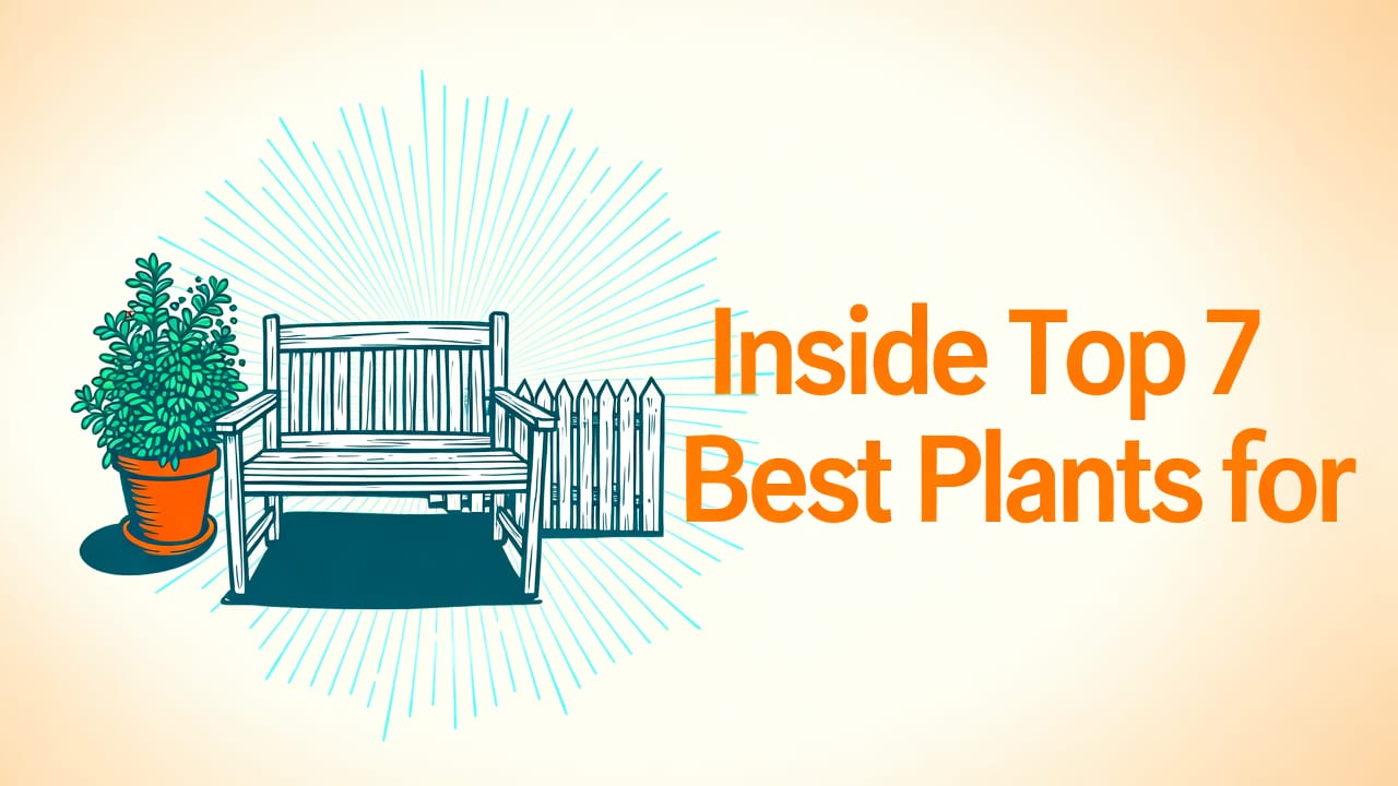 Top 7 Best Plants for Front Yard Curb Appeal in 2026 - best plants for front yard curb appeal