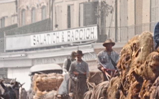 Detail from the plate: the painted board reading Salatich and Baccich above the market crowd