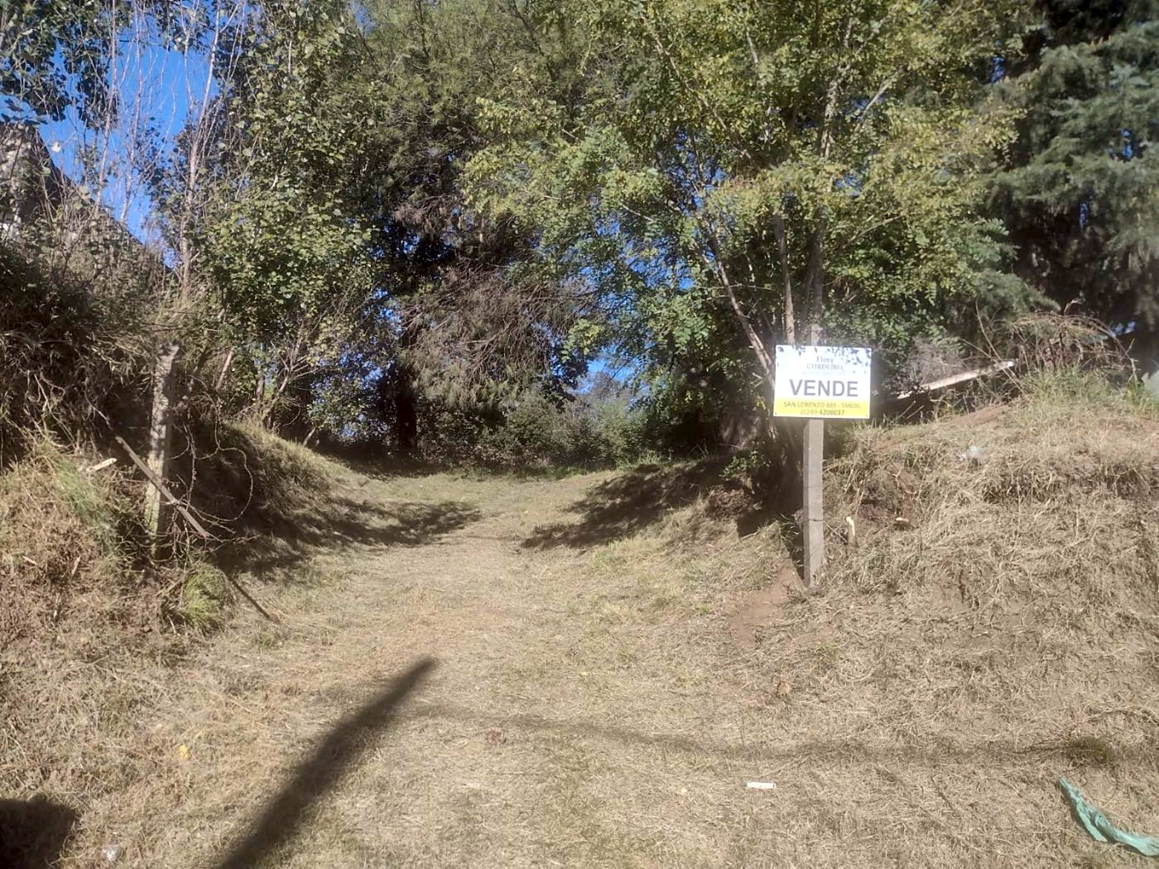 Imagen de Palacios 1700, Tandil