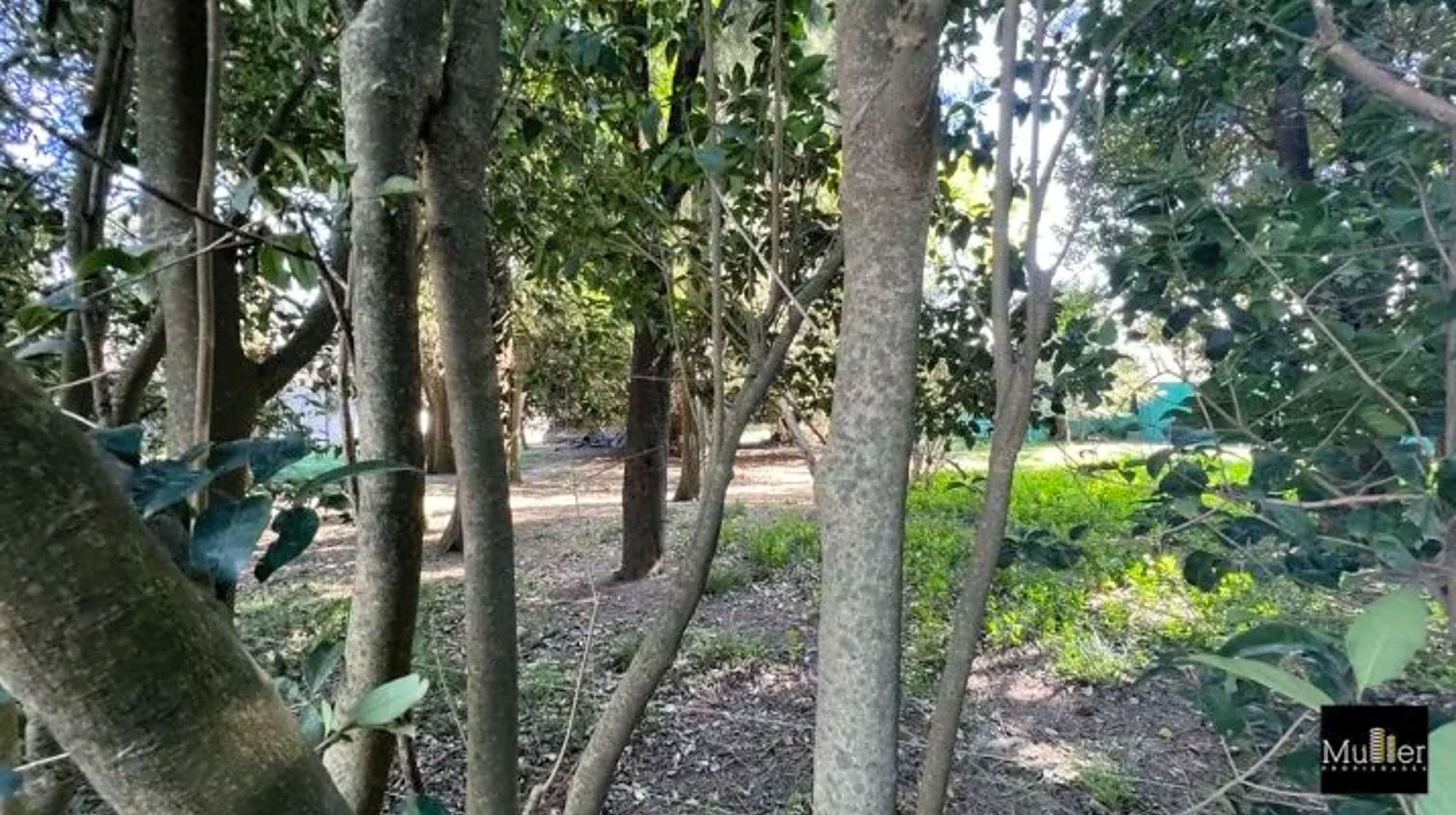 Propiedad en Tandil - Foto 2