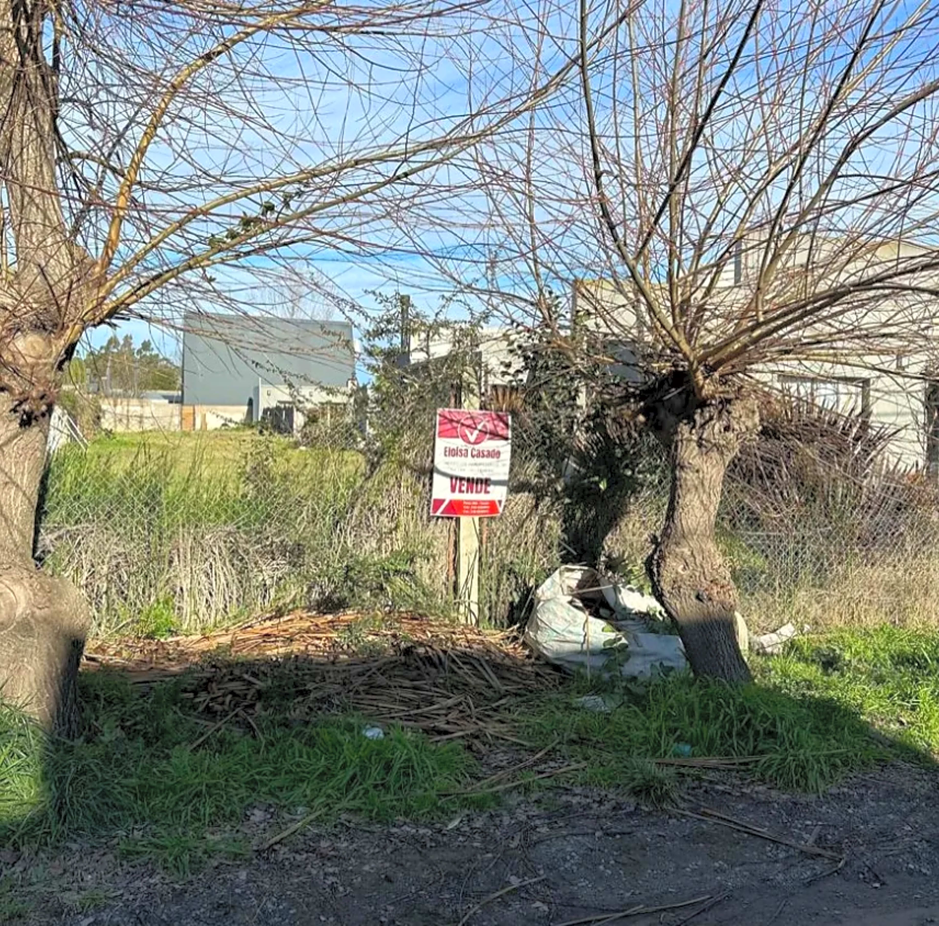 Propiedad en Tandil - Foto 3