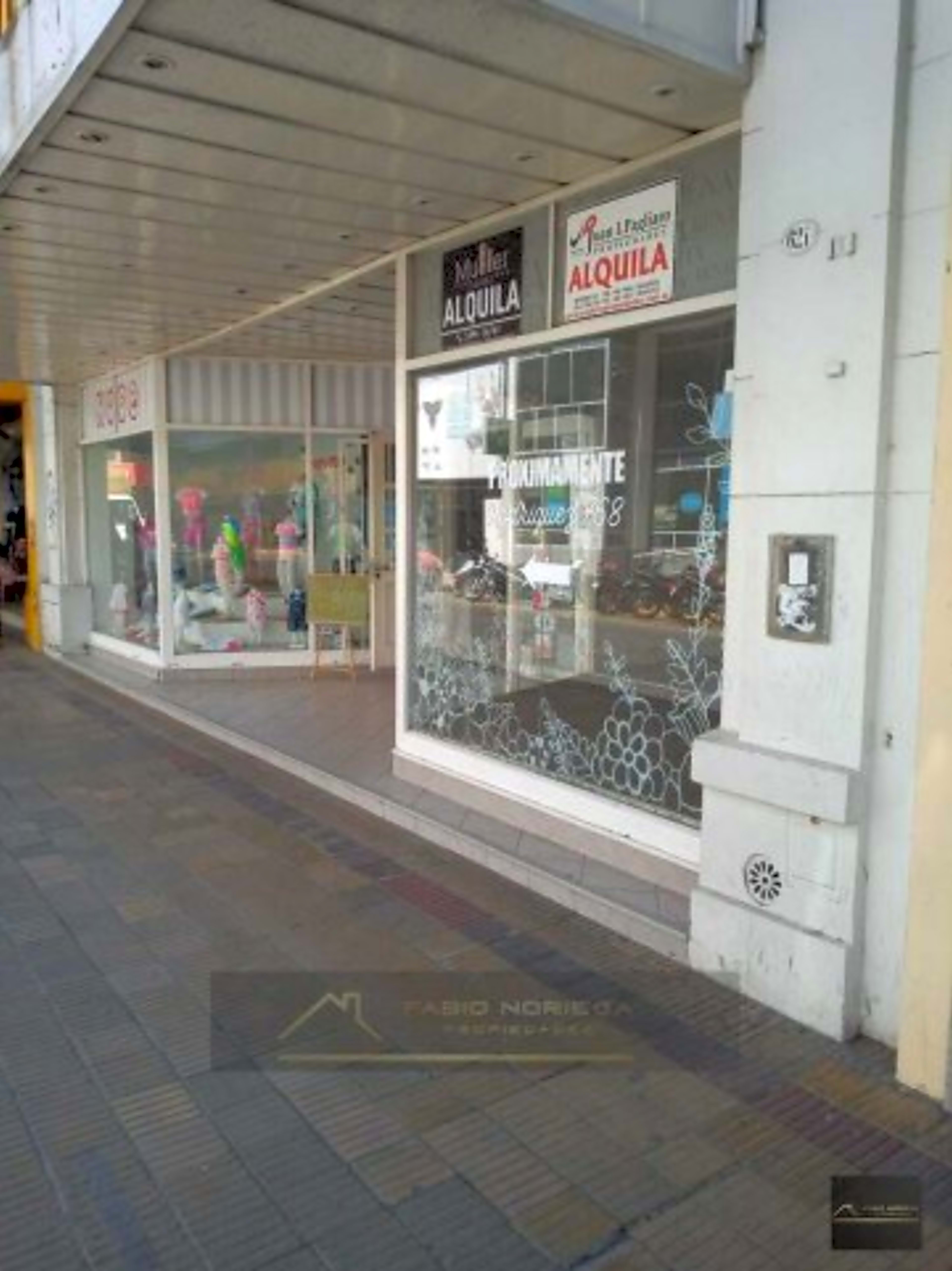 Imagen de Rodriguez 600, Tandil