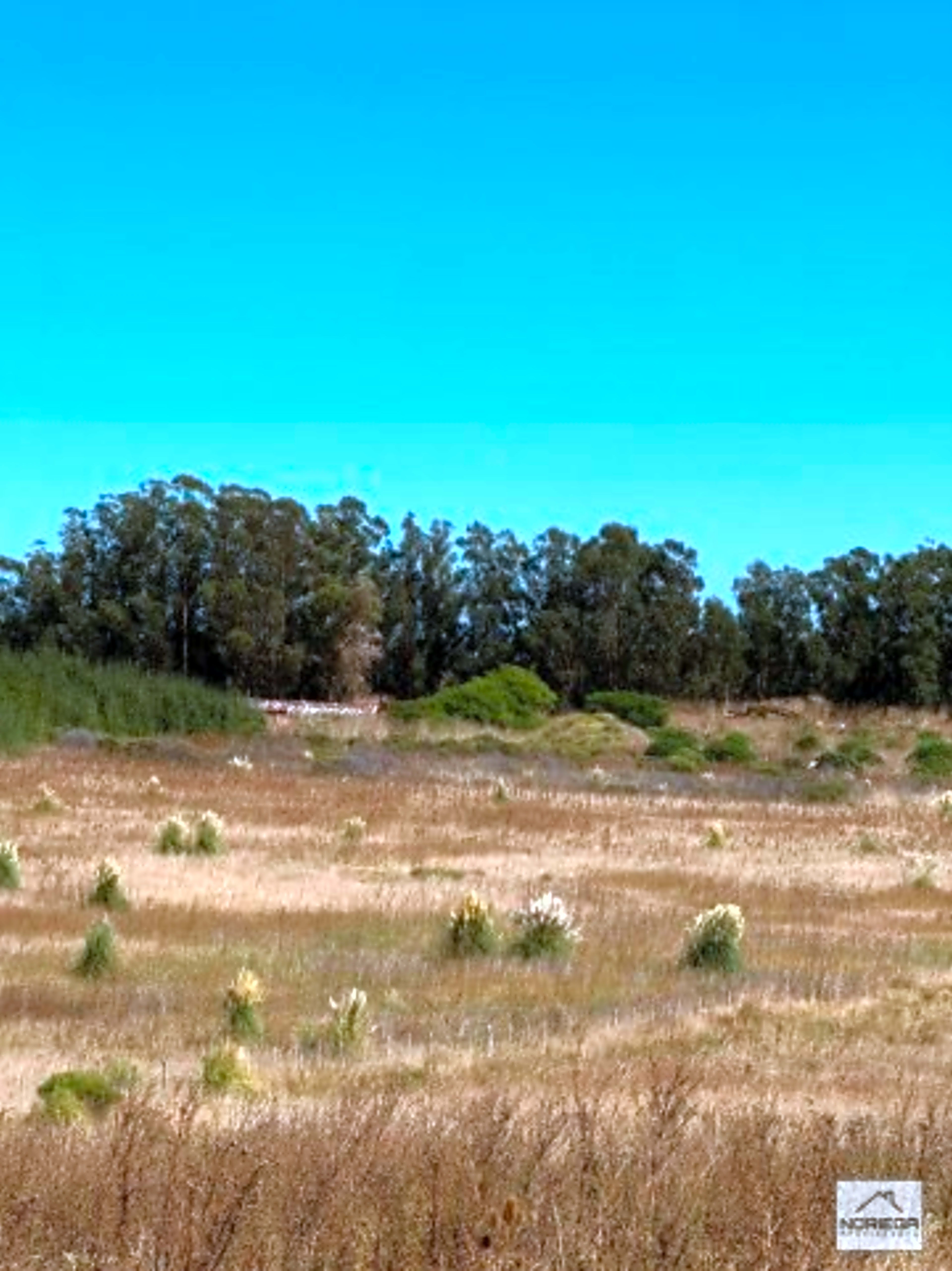Propiedad en Tandil - Foto 1